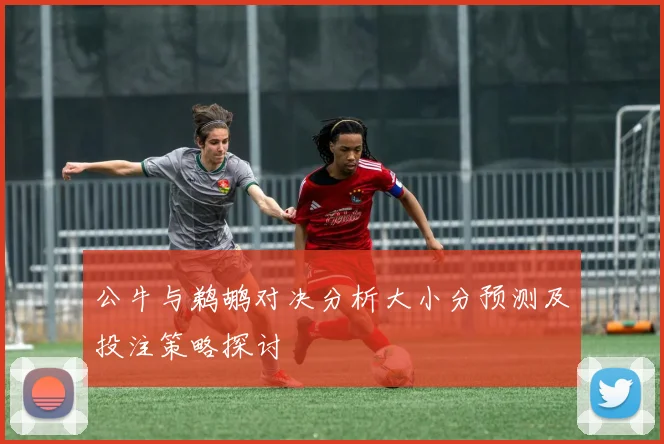公牛与鹈鹕对决分析大小分预测及投注策略探讨