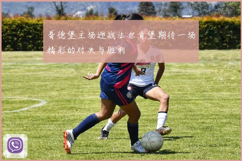 哥德堡主场迎战法尔肯堡期待一场精彩的对决与胜利