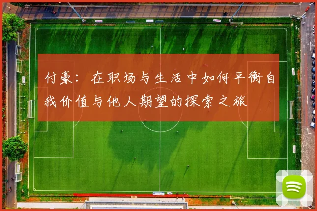 付豪：在职场与生活中如何平衡自我价值与他人期望的探索之旅