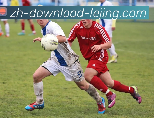 App Interface Preview